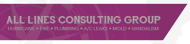 All Lines Consulting Group